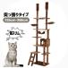 �L���b�g�^���[ �˂����� �X���� �ȃX�y�[�X ������� �S��235-285cm �܌��� �n