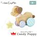1 лет из baby игрушка игрушка игрушка подарок собака собака .... one one . собака . собака гремящий развлечение инструмент ребенок игрушка мужчина девочка празднование рождения из дерева ... развлечение 