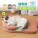  собака кошка домашнее животное bed .... bed домашнее животное коврик лето фруктовый дизайн собака для кошка охлаждающий .. маленький размер собака средний собака большой собака контакт охлаждающий прохладный . чувство обработка 