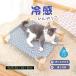  pet bed cat summer .... dot dog cat bed pet bed check pattern peach pattern dot house heat countermeasure cool ... for summer 
