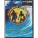  Surf DVD [MORNING OF THE EARTH] Jerry * Lopez ( inspection ) Classic Movie 
