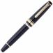 Foto von PROFESSIONALGEAR REALO Fountain Pen