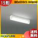 [ бесплатная доставка ]KOIZUMI Koizumi AB46902L LED кухня свет 15 форма днем белый цвет сток изначальный лампа розетка есть (1,000W до соответствует!)LED6.0W на поверхность кухня соответствует type 