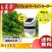 ̵ץॵ RITEX 饤ƥå ASL-093 ɤǤ⥻󥵡饤ȥ顼 LED󥵡饤 ɱ 顼ȯšŵ0