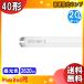 FLR40SD/M-X/36 ԥåɥ  40 36å G13 6500K ָ  Private Brand PB [20ܥå]̵