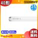 FLR40SD/M-X/36 ԥåɥ  40 36åȸG13 6500K ָ  Private Brand PB [25ܥå]̵
