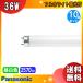 ̵[10ܥå]Panasonic ѥʥ˥å FLR40SN/M-X36RF3 եۥ磻  40 36å ԥåɥȷ 5000K