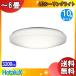 10ò ۥ륯 HLDC06258 NEC 6 LED 󥰥饤 ĴĴ ⥳դ    10ޤȤ㤤