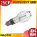 [ бесплатная доставка ] скала мыс NH250DXnatolium лампа 250W прозрачный форма E39