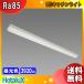 ۥ륯 NEC MMDB40005K1/D-8 LEDå饤  6500K Ra85 ȥշ 75mm (3920lm/24w) mmdb40005k1d8̵