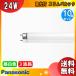 �p�i�\�j�b�N FHF24SENF3 �X�����p���b�N �i�`�������F 24���b�g FHF24SEN (�l�I�X�����ǁj(FHF24S-EN)(FHF24S�EEN) �u���������v[10�{�Z�b�g]
