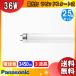 �p�i�\�j�b�N FLR40S�EEX-L/MF3D �p���b�N  �d���F 3�g���`�d���F FLR40SEXLMHG2 FLR40SEXLMF3 FLR40SEXLMH �u���������v[25�{�Z�b�g�n