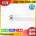  Panasonic FLR40S*EX-N/M-XF3Dpa look натуральный цвет 3 волна длина форма днем белый цвет FLR40SEXNMXF2D FLR40SEXNMXF3 [ бесплатная доставка ][25 шт. комплект ]
