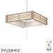 ꥹ LED  ڥȥ饤 6 10ʳ Ĵ 뤤 岼ȯ led  PL6D-J2 ⥳ Ҥ   ̵