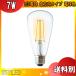 STYLED  HDFC60L1 LEDŵ E26 60W ŵ忧  եȥ ST64ֶʬA