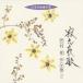  запад ..|. свет .. запад .. сборник произведений 2 [CD]