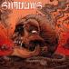 SHADOWSilluminate CD+DVD