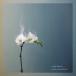 world*s end girlfriend|LAST WALTZ [CD]