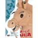 ���������Ϥ˴� �Ҥ�٤�BOX ��DVD��