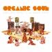 (V.A.)ORGANIC SOUL from GOON TRAX CD