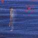  Matsuyama Chiharu |.. вращение .5 [CD]
