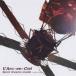 LArc-en-CielSpirit dreams inside -another dream- CD
