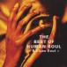 HUMAN SOUL٥ȡ֡ҥ塼ޥ󡦥 CD