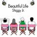 Shiggy Jr.／Beautiful Life (初回限定) 【CD+DVD】