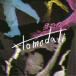 tomodati／tomodati 【CD】