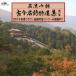 (��������)��̾ή��� �ź�̾����������47�� 2019ǯ�٥��饦�������ӥ��󥯡�������1 ��CD��