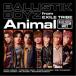 BALLISTIK BOYZ from EXILE TRIBE��Animal ��CD��