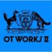 岡崎体育／OT WORKS II 【CD】