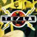  tesla | носорог kotik*sapa-( первый раз ограничение ) [CD]
