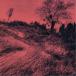  The *ti Ran II|.. .. мысль .. другой ....... было использовано [CD]