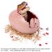 u...!u-moju lachic * world T- Rex eg черный игрушка ... ребенок мужчина 5 лет 
