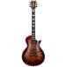 E-II EC-QM FL / Tiger Eye Sunburst