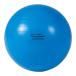  Dan noDANNOgimnik цвет мяч 65 D5432 голубой фитнес сопутствующие товары мяч тренировка тренировка стрейч бесплатная доставка фитбол 