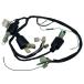 C.F.POSH(si-efposhu) CFposhu(Cf Posh) усиленный главный жгут комплект 12V Monkey /12V Gorilla 271402