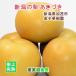  Niigata префектура .. город деньги фруктовое дерево . Niigata. . сверху .. груша .... груша 3kg(5~8 шт ) тщательно отобранный груша несессер ввод бесплатная доставка [ нет фрукты плоды .. товар подарок ] [ подарок по случаю конца года ]