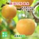  Niigata префектура .. город деньги фруктовое дерево . Niigata. новый груша . вода груша 3kg(8 шт ~10 шт ) тщательно отобранный груша несессер ввод бесплатная доставка [ нет фрукты плоды .. товар подарок ] [ подарок по случаю конца года ]