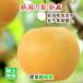  Niigata префектура .. город деньги фруктовое дерево . Niigata. . сверху .. груша новый высота груша 3kg(4~6 шт ) тщательно отобранный груша несессер ввод бесплатная доставка [ нет фрукты плоды .. товар подарок ] [ подарок по случаю конца года ]