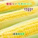  утро .. свежий кукуруза Niigata префектура JA рыба болото сельское хозяйство . производство утро .. длина Цу юг высота . производство кукуруза LL 10шт.@ прохладный рейс бесплатная доставка [ овощи подарок гурман ] [ подарок по случаю конца года ]