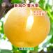  Niigata префектура груша культивирование фруктовое дерево . земля рисовое поле сельское хозяйство . иметь машина удобрение культивирование . вода груша .. для 10kg(18 шт ~28 шт ) бесплатная доставка [ нет мир груша подарок .. товар подарок ] [ подарок по случаю конца года ]