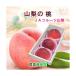  Yamanashi префектура JA фрукты Yamanashi комплект . длина рекомендация. персик ( белый . серия ) самый высокое качество несессер 3 штук входит примерно 1kg бесплатная доставка [ фрукты .. товар гурман подарок ] [ подарок по случаю конца года ]