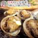アワビ あわび 鮑 (高級 養殖) 5個入（1個50〜60g） ギフト 海鮮鍋 セット 海鮮グルメ 海鮮おせち 海鮮丼 おせち バーベキュー BBQ ((冷凍))