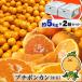 [2 коробка комплект ] маленький шар pon can 5kg ×2 коробка комплект дом для Ehime префектура производство . мир остров pon can маленький маленький шар размер маленький шарик 10 kilo коробка покупка есть перевод 