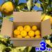  Ehime префектура производство ..3kg для бытового использования есть перевод размер случайный смешивание бесплатная доставка коробка покупка дом для для бизнеса .. фрукты плоды кожа реальный Ehime . мир остров . север Hachiman . местного производства yuzu 3 kilo 