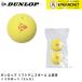 [LINE дополнение .5%OFF купон распространение средний ] Dunlop Dunlop спорт мяч soft теннис мяч легализация лампочка (2 штук входит ) DSTBYL2TIN soft теннис 