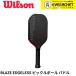 [LINE дополнение .5%OFF купон распространение средний ] Wilson Wilson pick ru мяч лопасть ракетка BLAZE EDGELESS 13 PB PADDLE 2 WR180911U2 pick ru мяч 