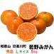( предварительный заказ )[.. мандарин ]5kg* превосходящий товар *L размер ( тест ... глубокий . есть ... повторный покупатель появляются один за другим ).. Wakayama префектура день высота уезд день высота река блок ( старый река сторона блок ). .. производство Unshu mi can 